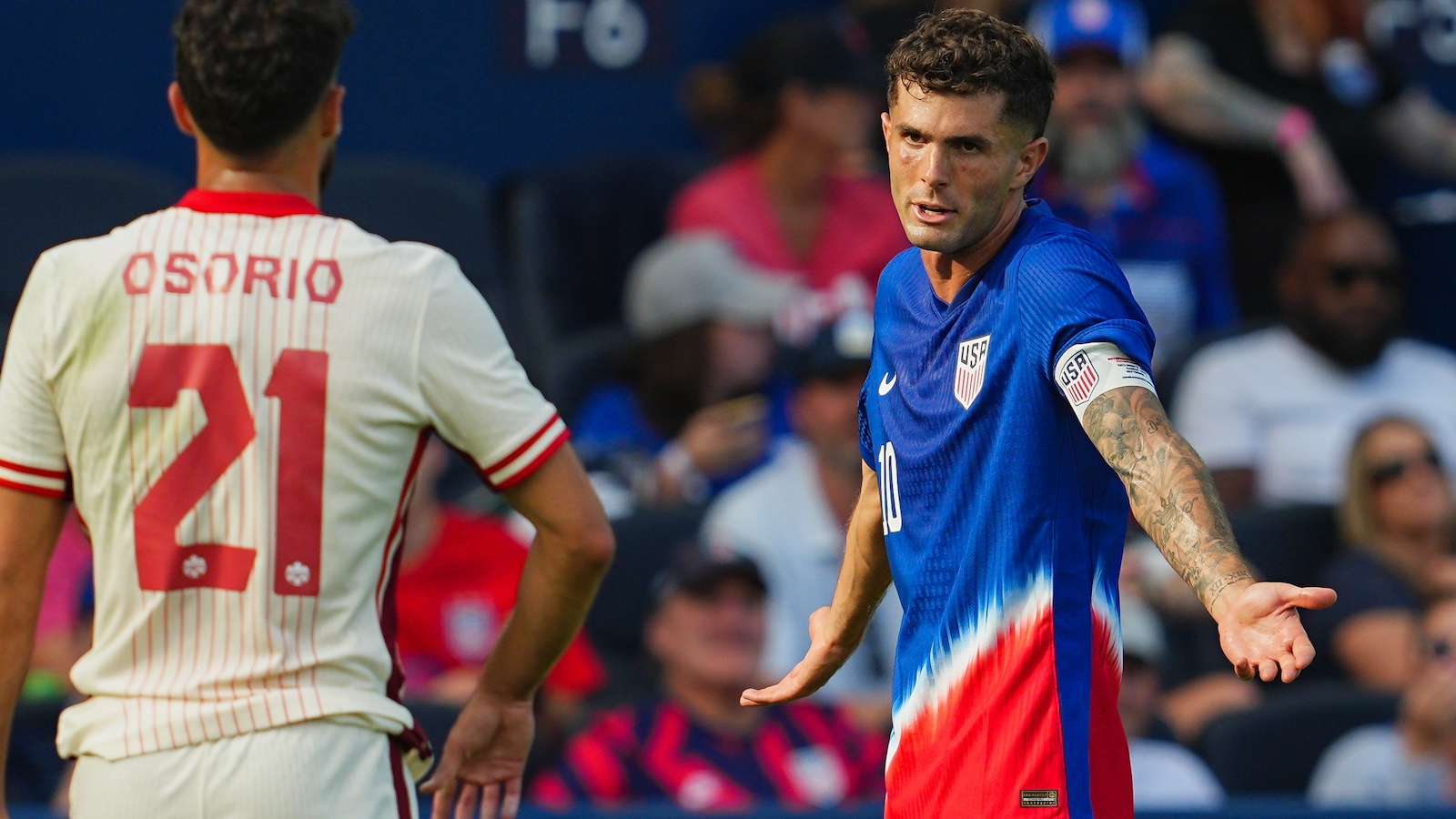 质更加彰显 质更加彰显